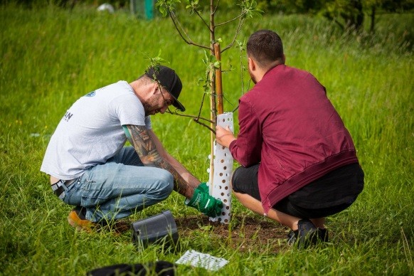 Dva muzi sazi strom v aktivite Tree Mend Us obrazek pro fotoclanek blogu