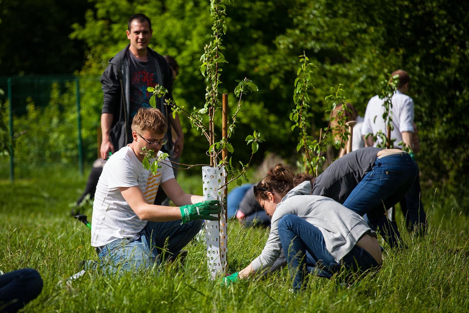Kazdy team sazi svuj strom ktery pozdeji take pojmenuje ve hre Tree Mend Us