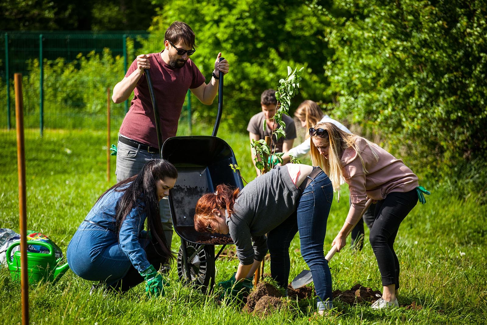 Vsichni pracuji na vykopani diry kam se zasadi ovocny strom v programu Tree Mend Us